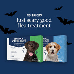 PetArmor CAPACTION six-dose pack for small dogs