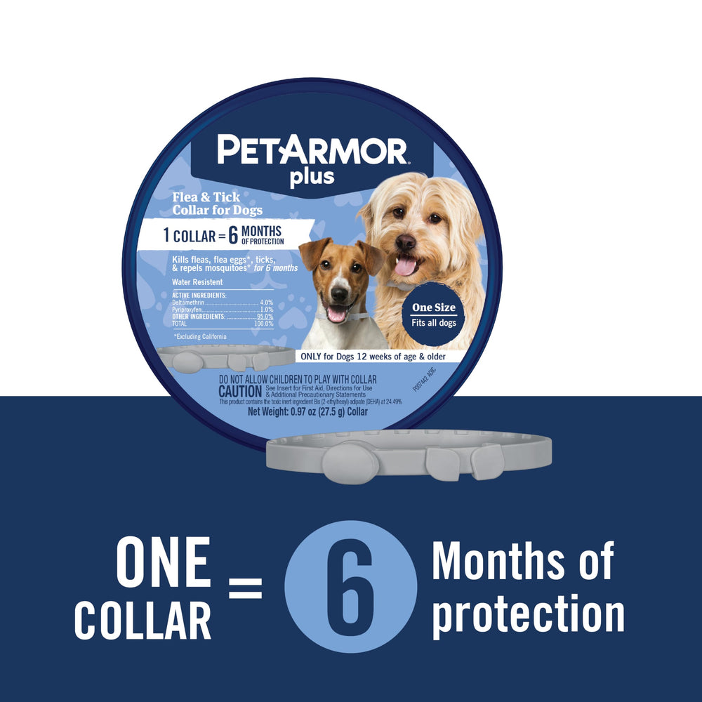 PetArmor Plus dog collar kills fleas ticks eggs and larvae for ongoing protection