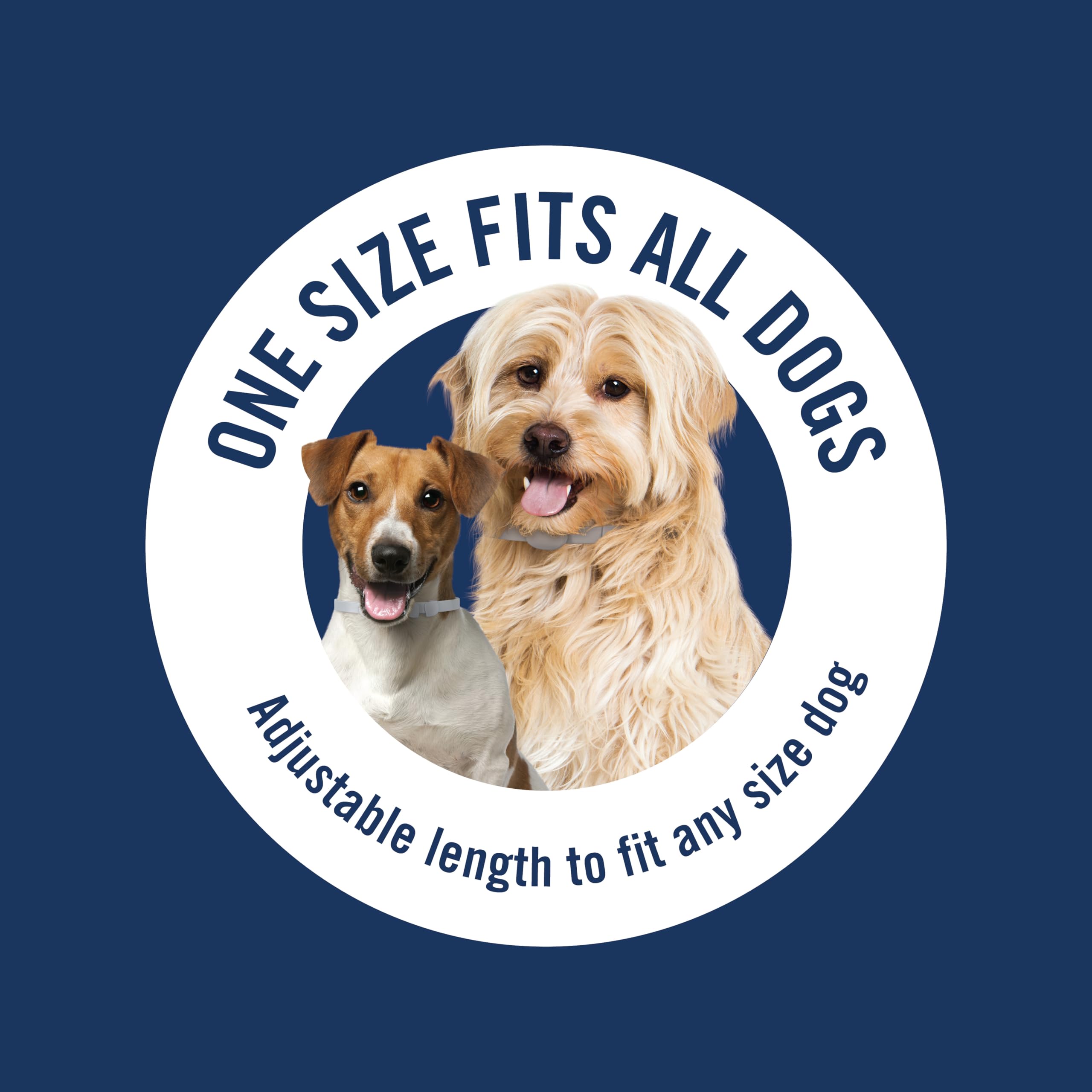 PetArmor Plus two-pack provides extended protection across seasons and multiple dogs