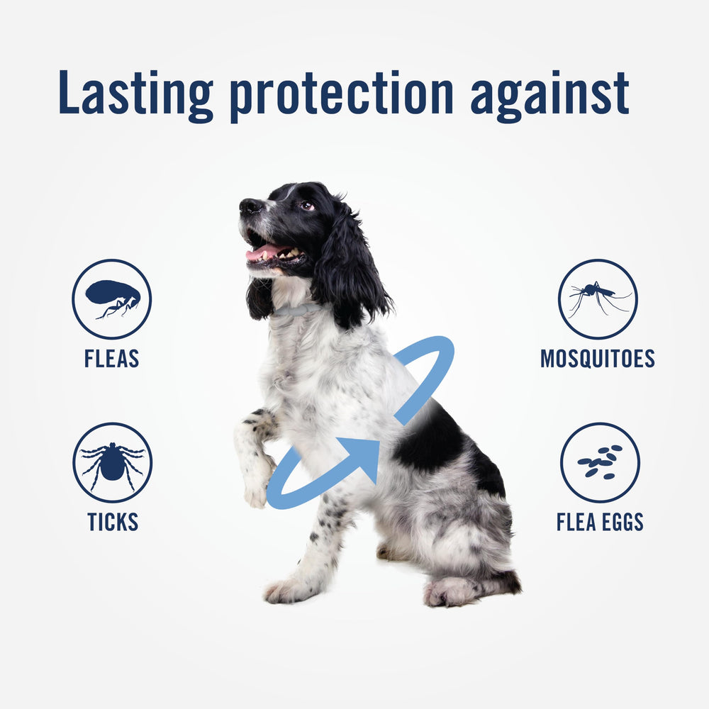 PetArmor Plus dog collar is waterproof for baths and swims