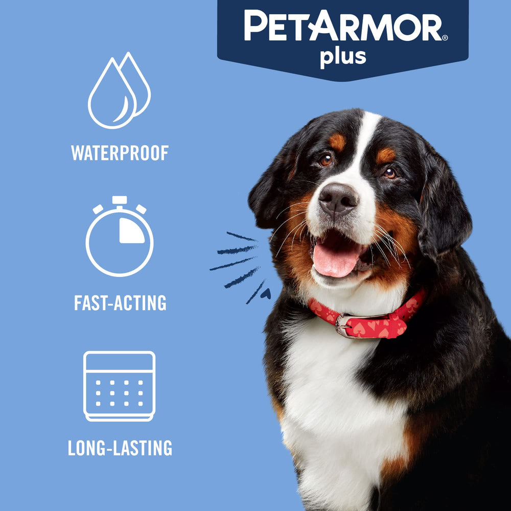 PetArmor Plus dog flea life cycle closeup: kills eggs and larvae to prevent reinfestation.