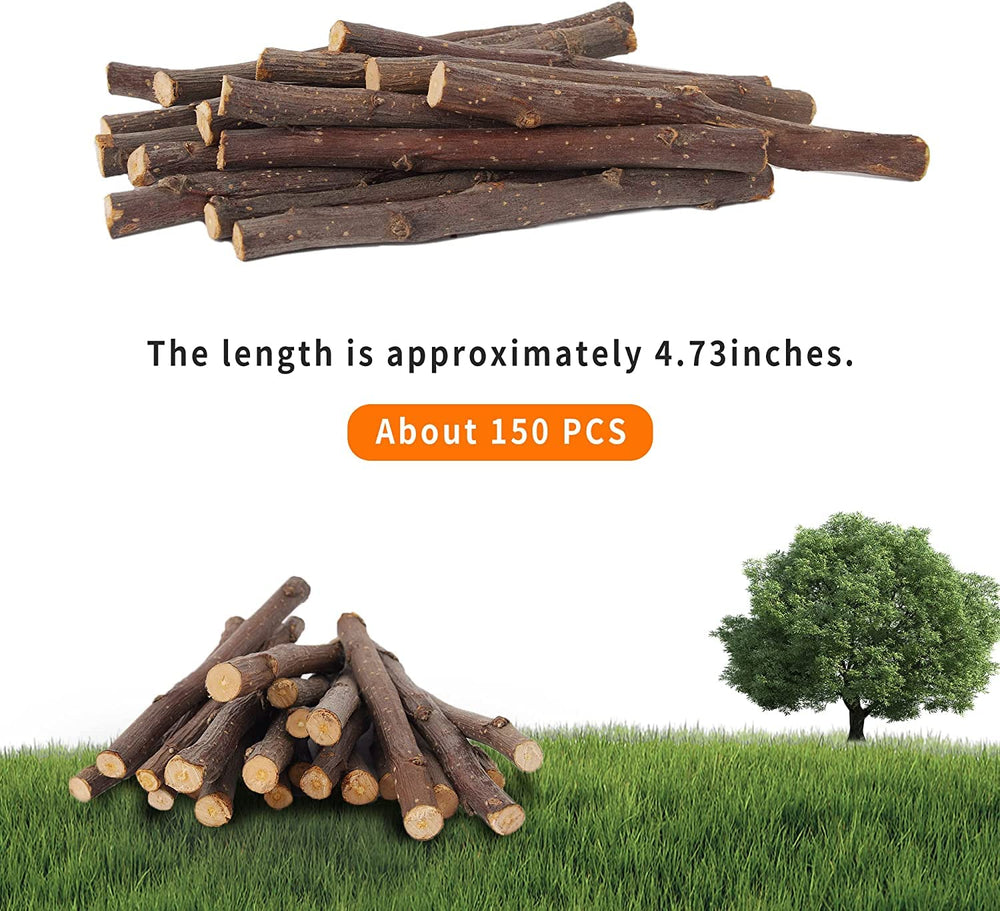 Petawi Apple Sticks support a fiber-rich diet for small pets.