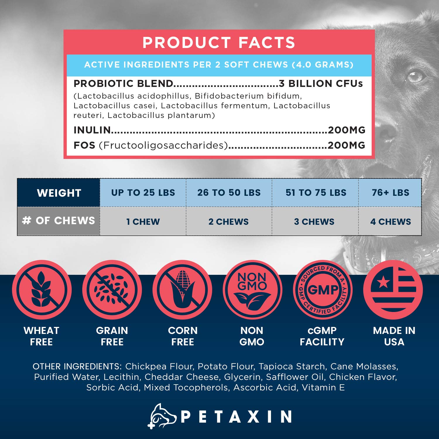 Petaxin Probiotics for Dogs chews used during daily routine to support immune health.