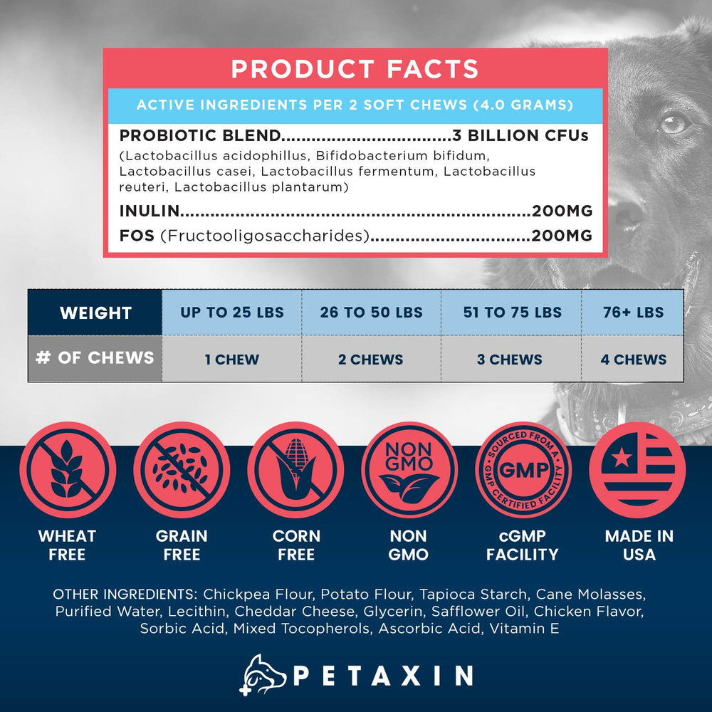 Petaxin Probiotics for Dogs chews used during daily routine to support immune health.