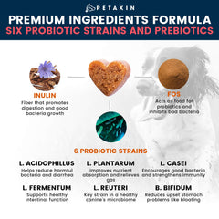 Petaxin Probiotics for Dogs digestive chews image suggesting improved digestion.