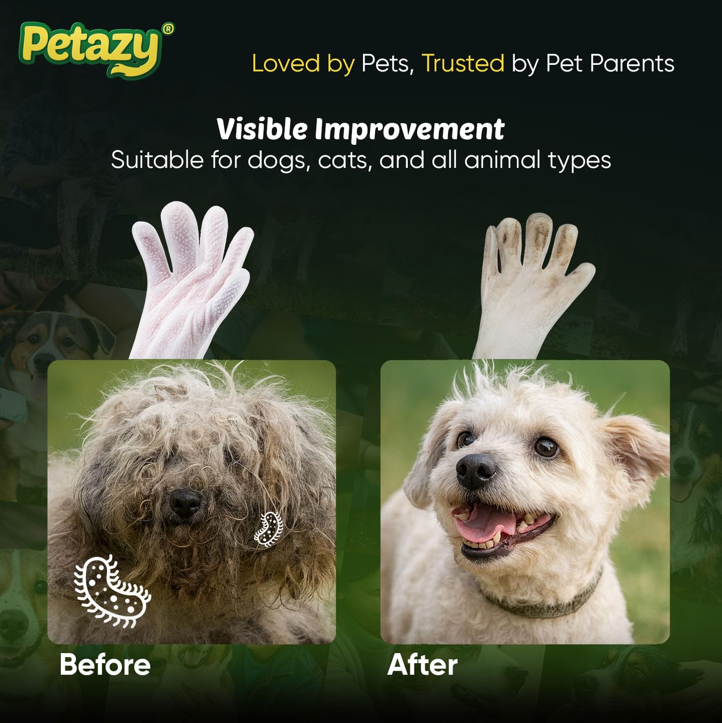 Petazy Pet Glove Wipes cat face cleaning close-up