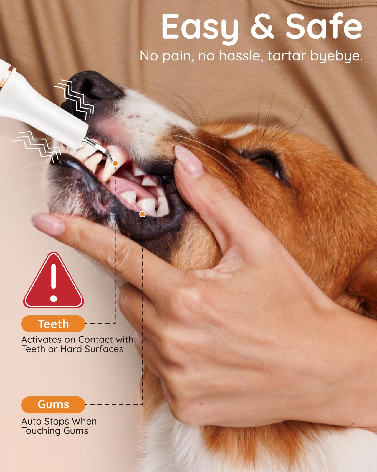Petbank 12-in-1 pet tooth brushing kit displayed for comprehensive home dental care