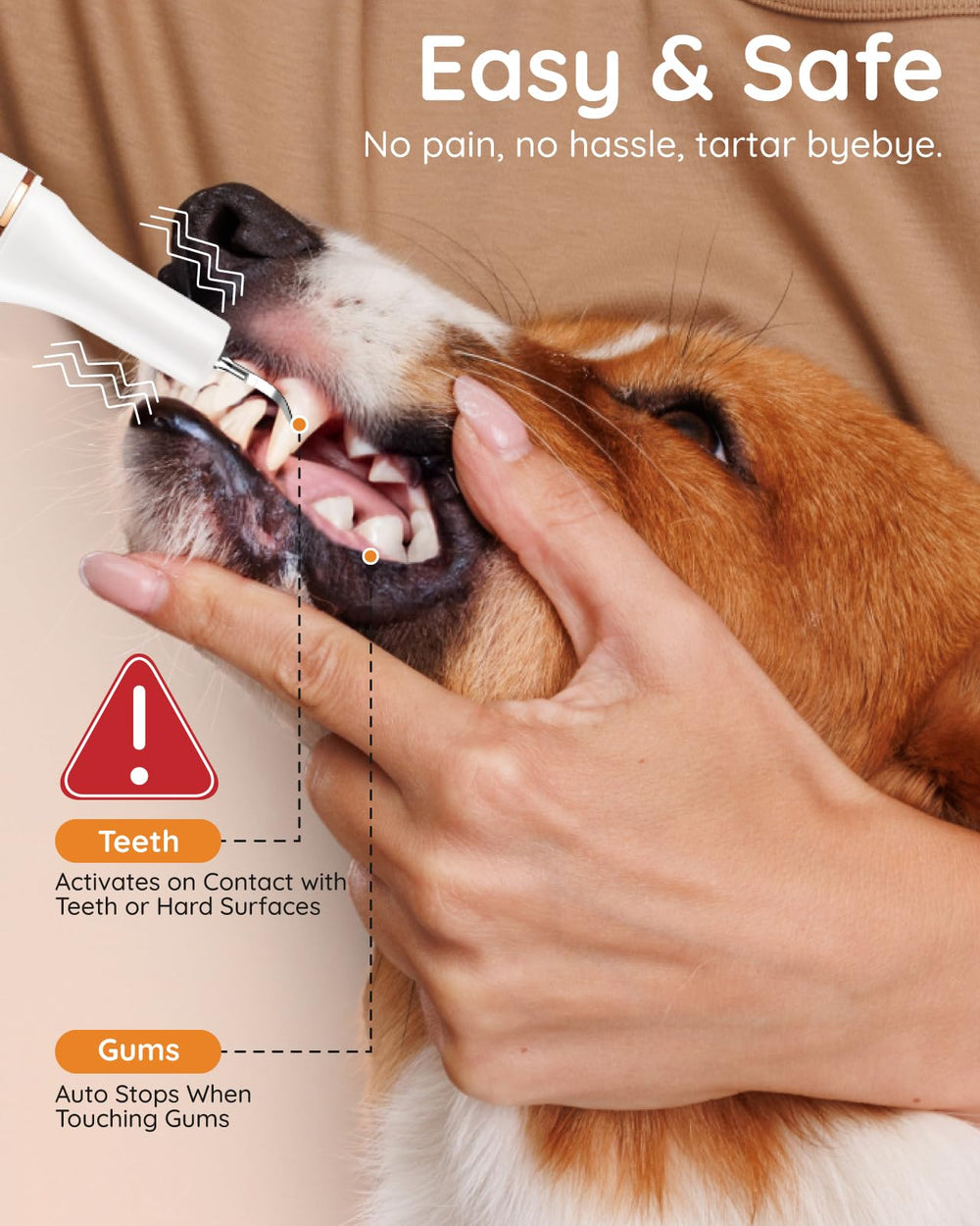 Petbank 12-in-1 pet tooth brushing kit displayed for comprehensive home dental care