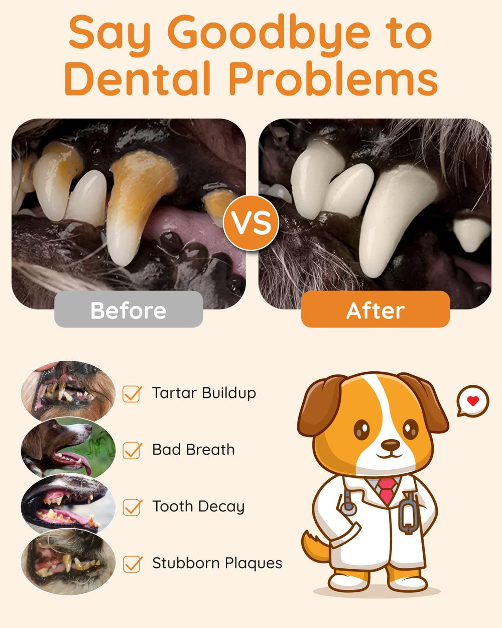 Petbank complete dental tools set laid out for professional-style home cleaning