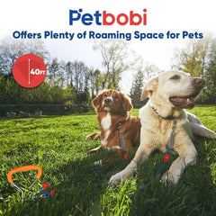 Petbobi 360 rotating clips blue prevent tangles while exploring.
