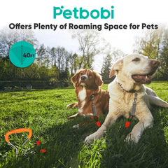 Petbobi 360-degree rotating clips prevent tangles during outdoor use.