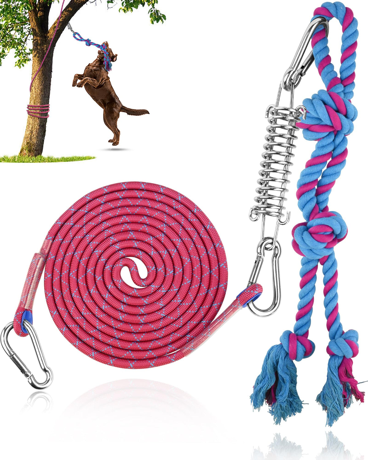 Petbobi Bungee Dog Toy hanging setup shows solo outdoor tug for energy burn
