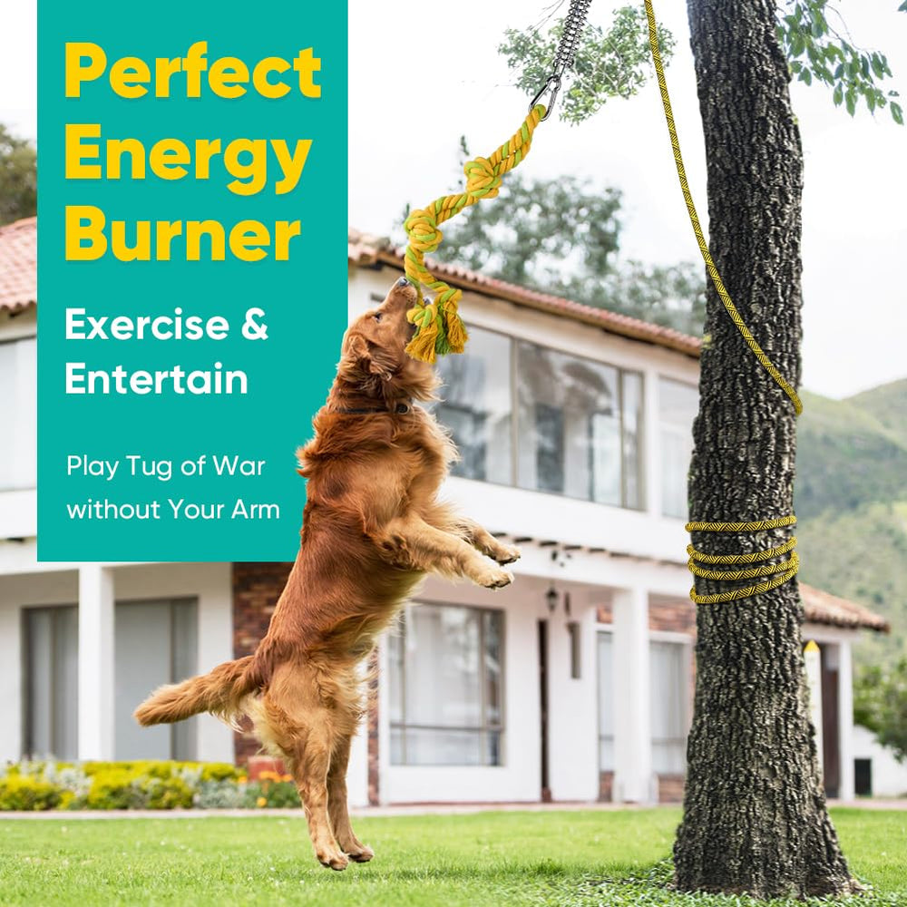 Petbobi Bungee spring close-up highlights rust-resistant durability for heavy chewers.