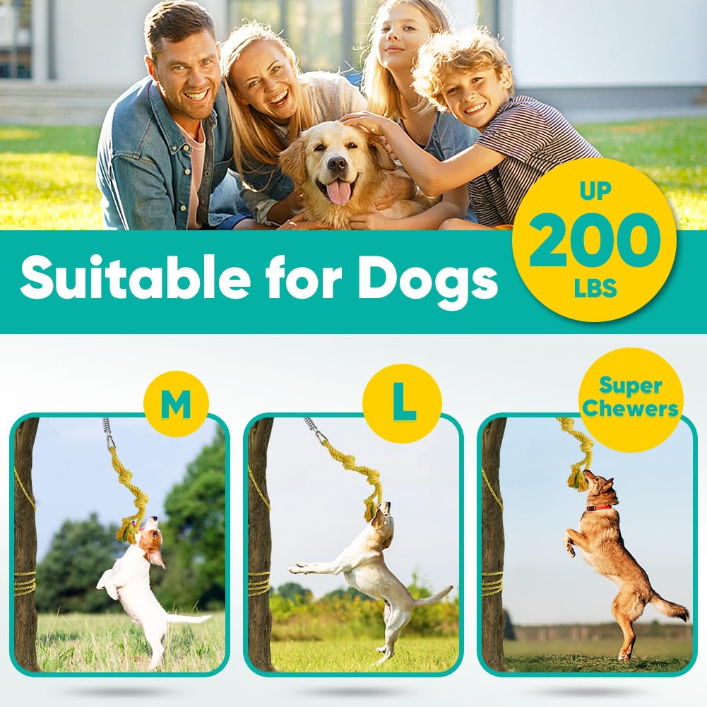 Petbobi Bungee hanging vertically demonstrates jumping power and muscle engagement.