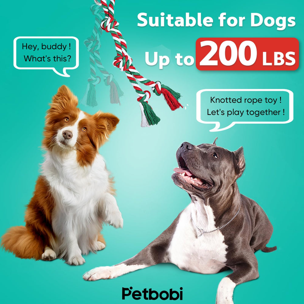 Petbobi Bungee Training Variations three setups to train shoulders and jumping power.