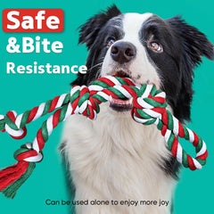Petbobi Bungee Tug Toy Heavy Chewer designed for large breeds and powerful pulls.
