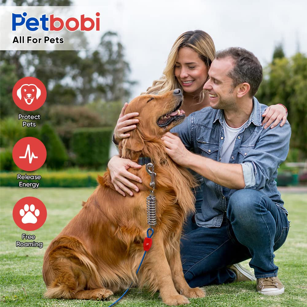 Petbobi dog roaming setup blue visualizing safe outdoor adventures.