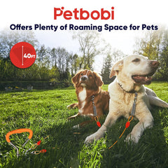 Petbobi 360-degree clips prevent tangles, keeping dogs free to explore without rope twists