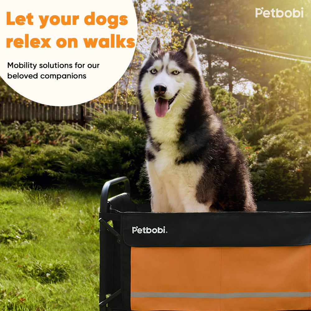 Petbobi outdoor usage scene shows versatile stroller for camping and urban escapes