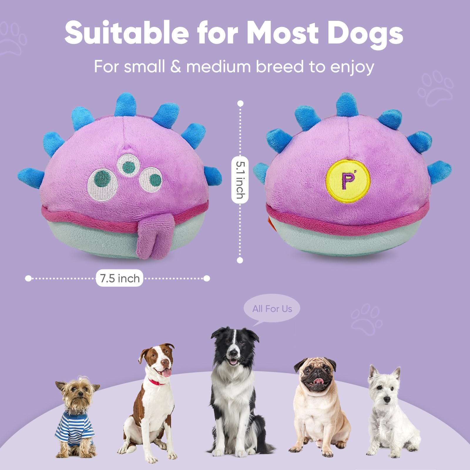 Petbobi Jolly Jelly Bobby ideal for small and medium breeds.