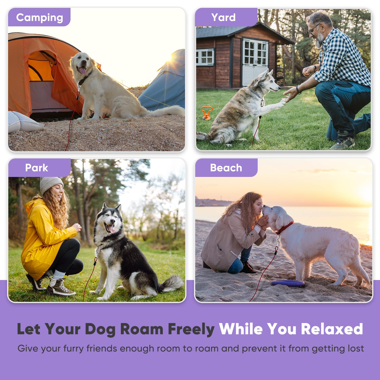 Petbobi tie-out in yard and camp scenes shows versatile outdoor use.