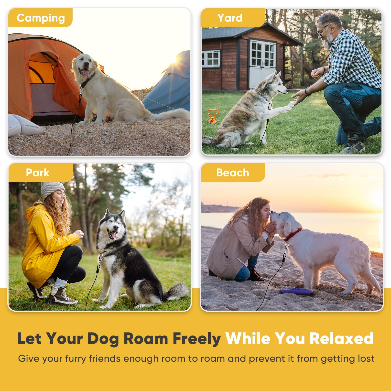 Petbobi outdoor dog tie-out in yard, camping or beach settings.