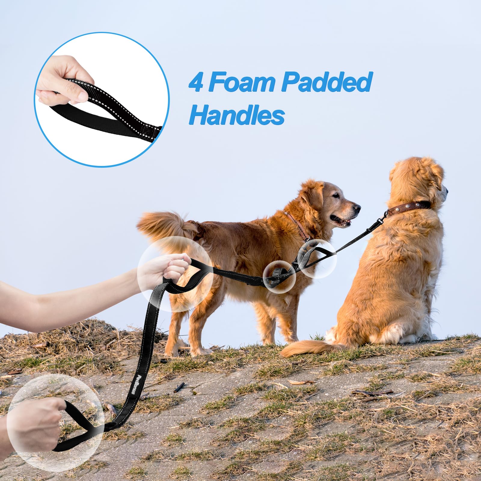 PetBonus collapsible dog bowl and waste bag dispenser add convenience on walks.