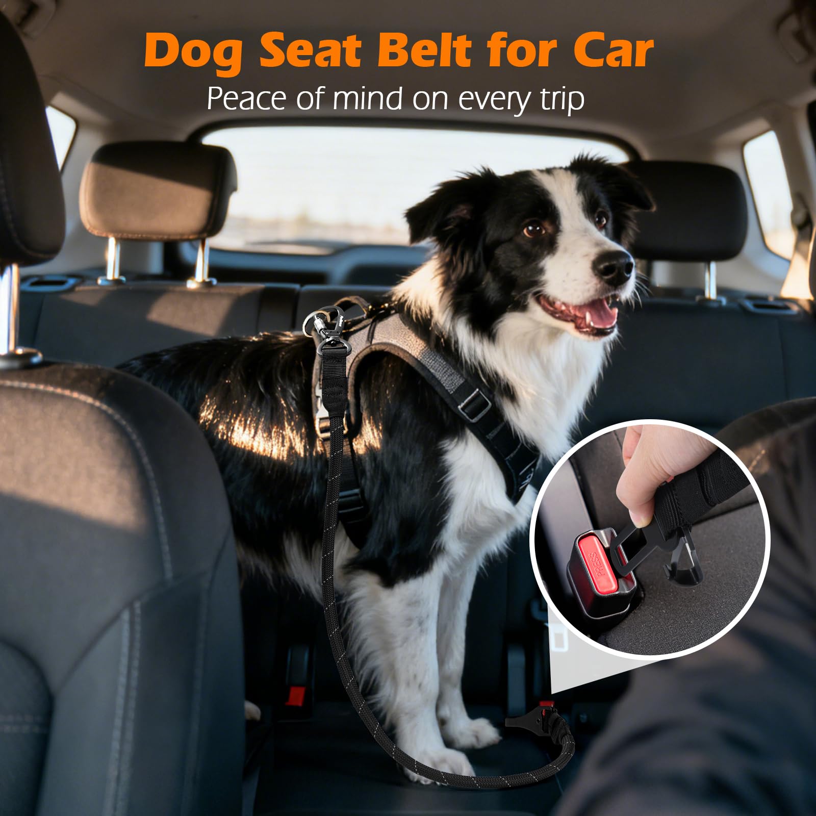 PetBonus 360-swivel avoids tangling and lets pets move freely during trips.