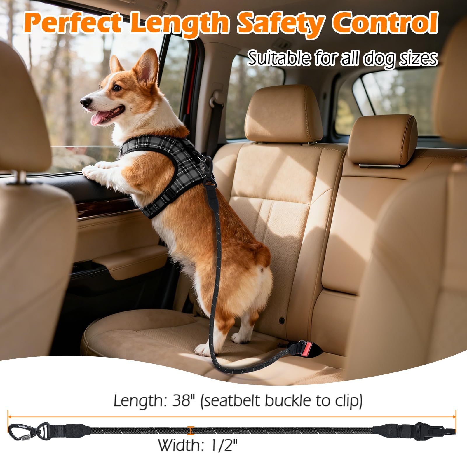 PetBonus 3-ft length keeps dogs secure in backseat while enjoying flexible motion.
