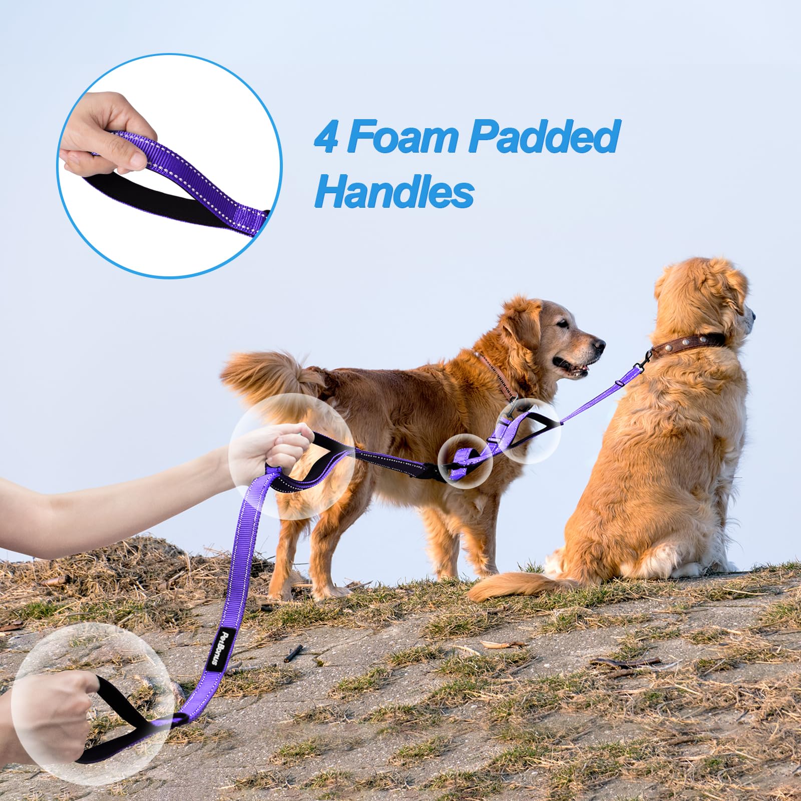 PetBonus leash with reflective stitching increases visibility during night walks.