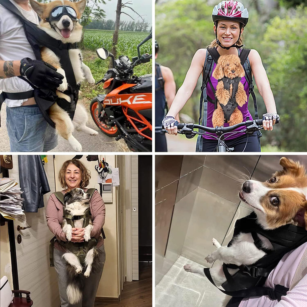 PetBonus hands-free hiking with the carrier during activities.