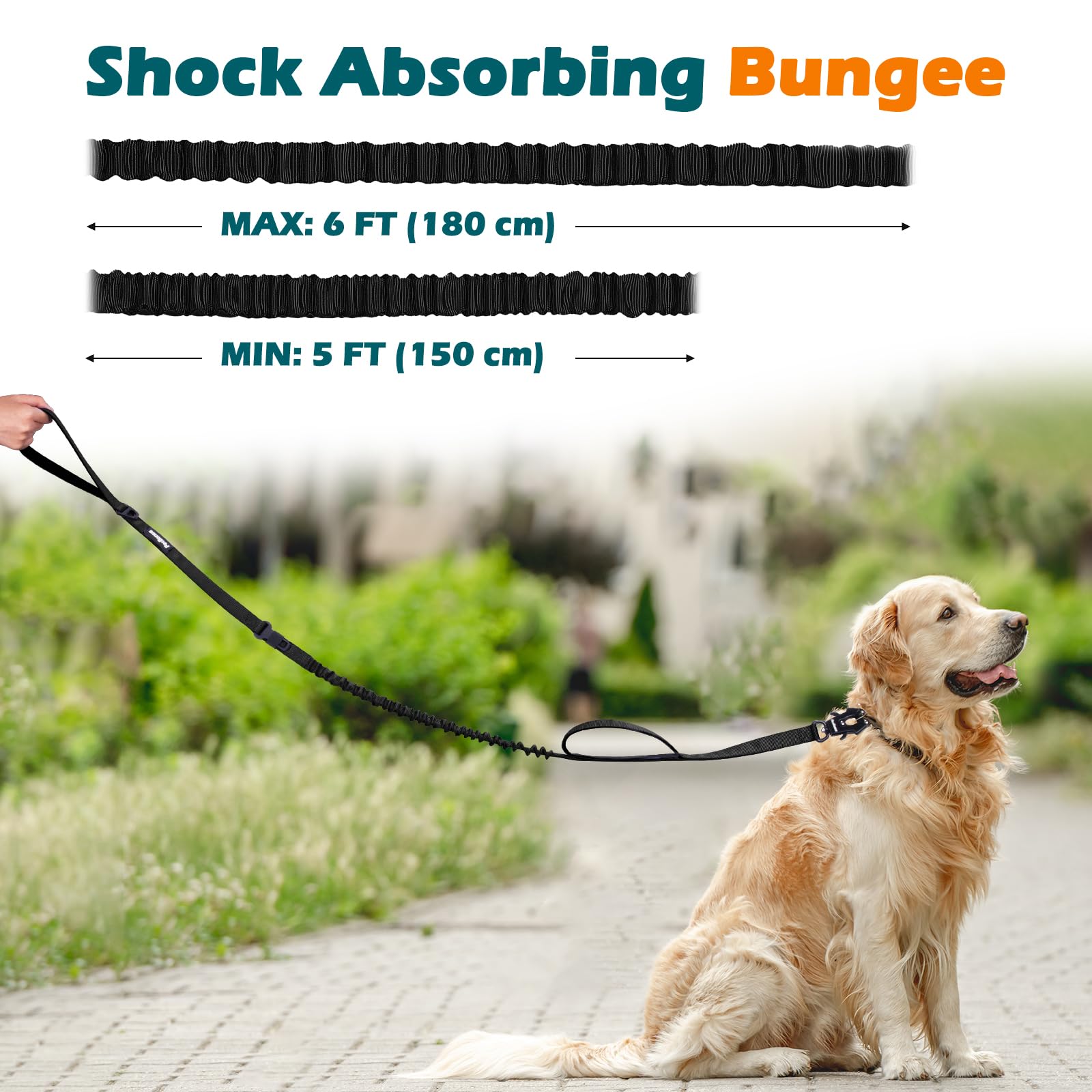 PetBonus bungee-absorption leash cushions lunges for smoother, safer runs