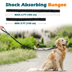PetBonus bungee-absorption leash cushions lunges for smoother, safer runs