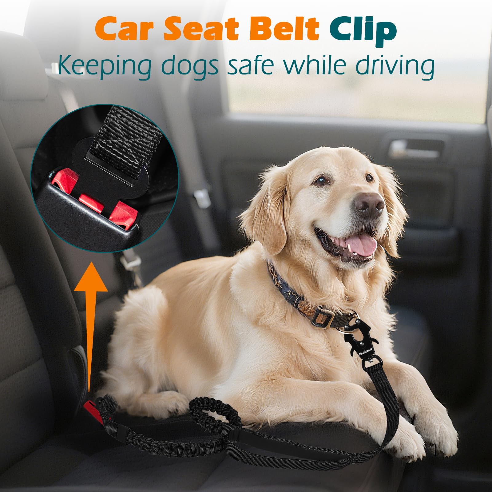 PetBonus leash car-seatbelt attachment secures dogs during car rides
