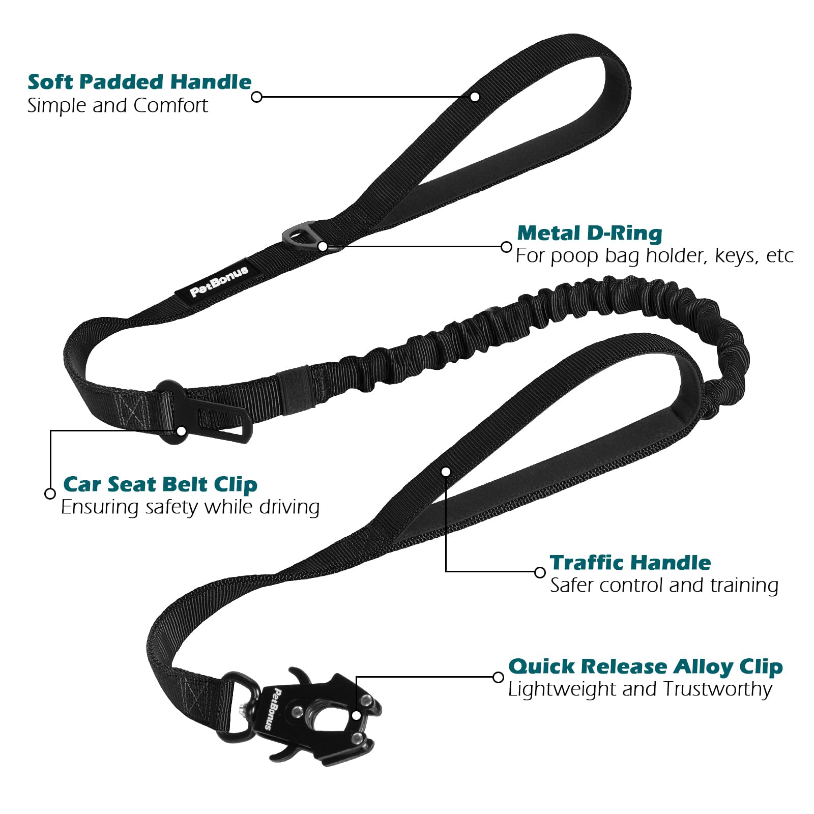 PetBonus leash D-ring attachments help carry training gear and essentials