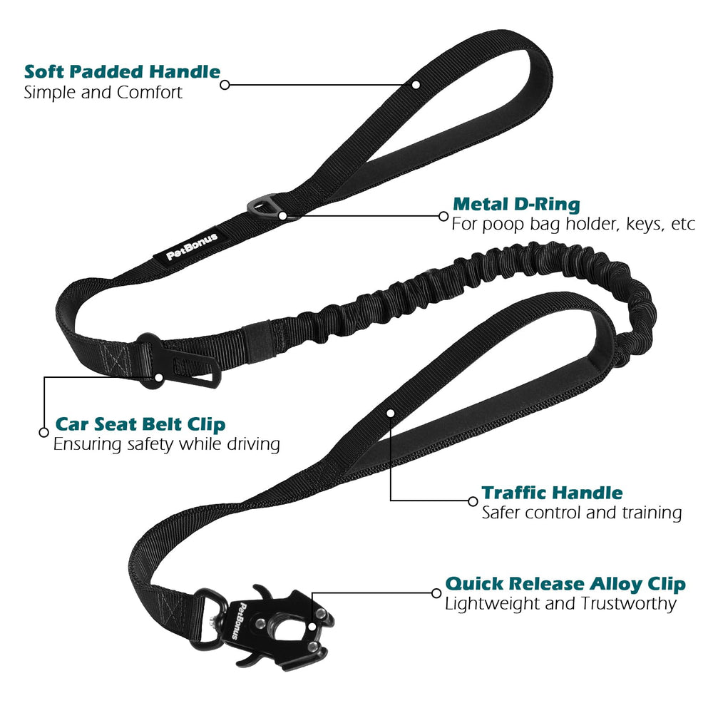 PetBonus leash D-ring attachments help carry training gear and essentials