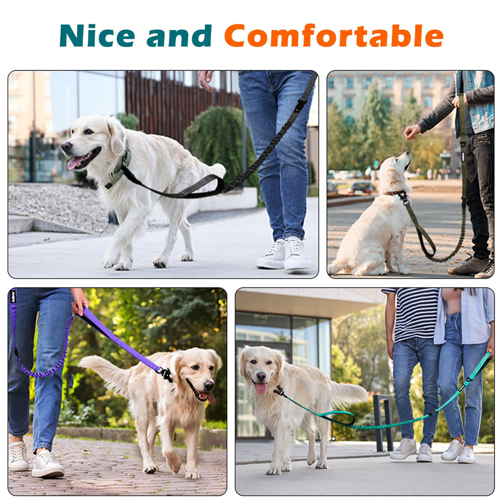 PetBonus heavy-duty leash suitable for large and medium dogs during daily activities