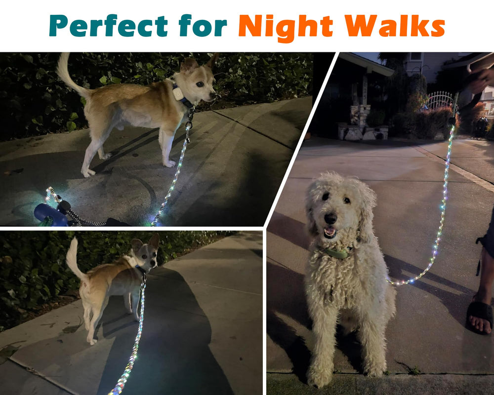 PetBonus night walk with LED leash shows improved visibility.