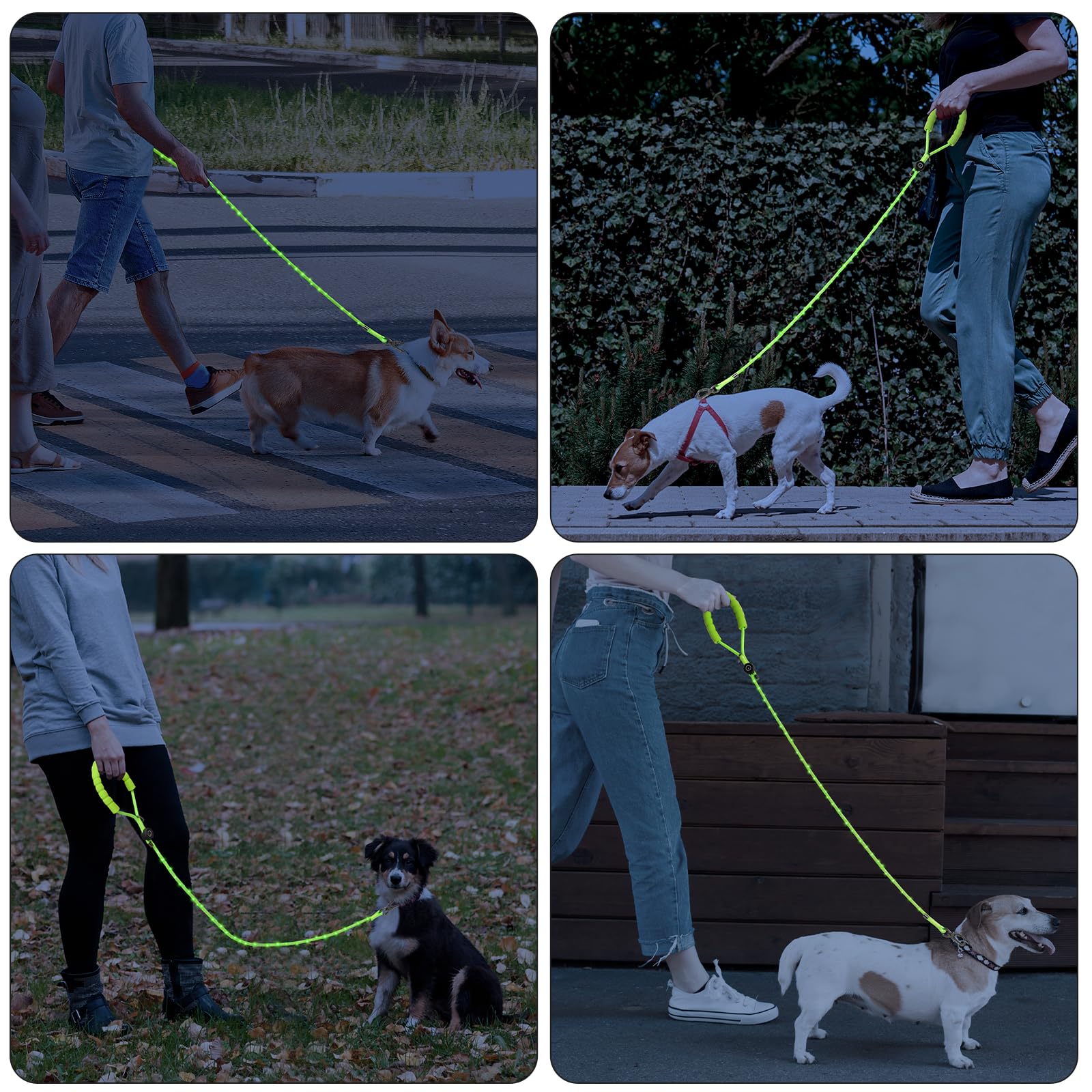 PetBonus green LED leash features thick padded handle for comfort.