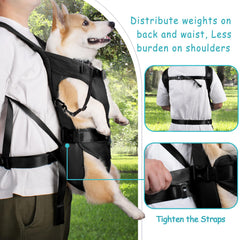 PetBonus size guide with back length measurements for accurate fit.