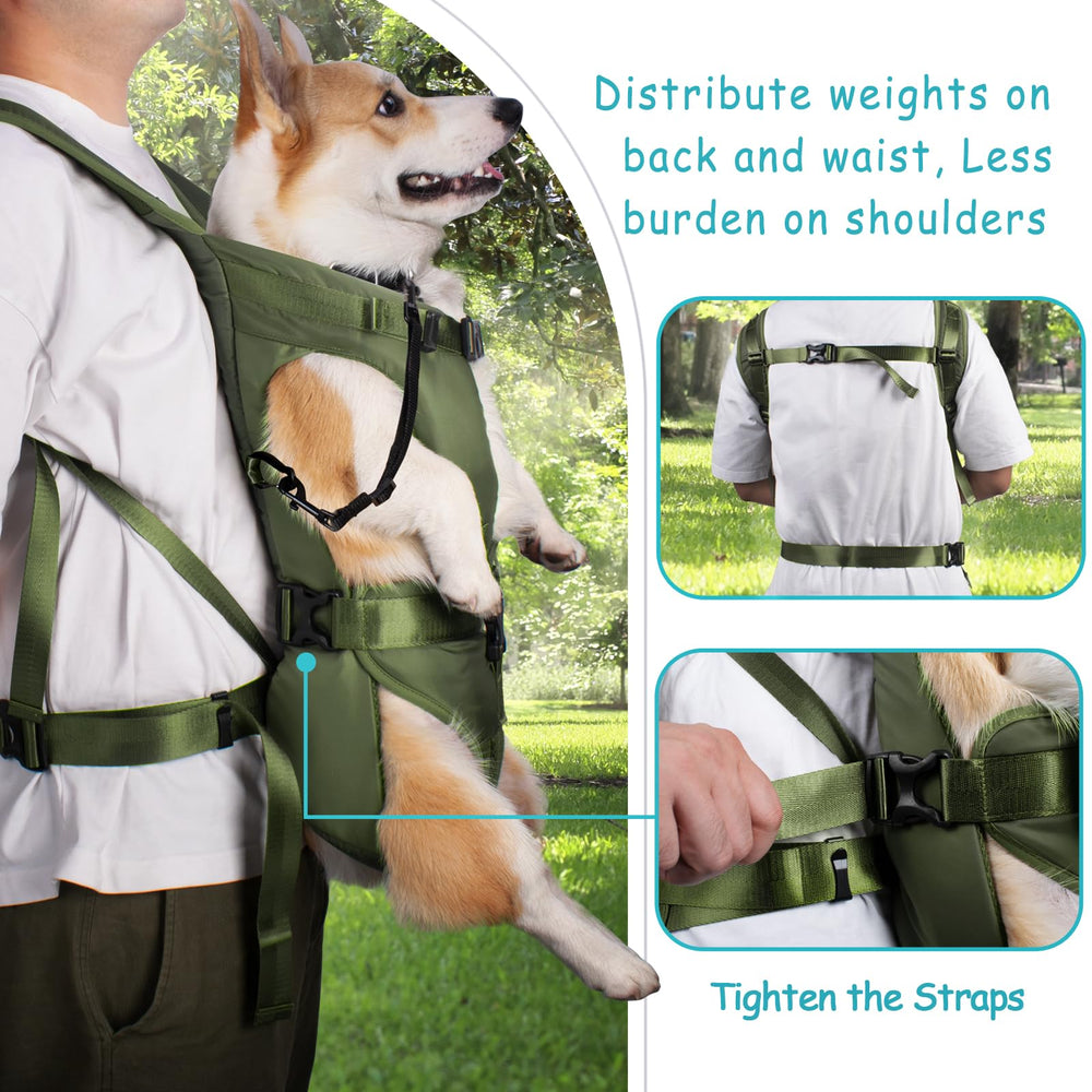 PetBonus adjustable straps provide secure fit for small dogs