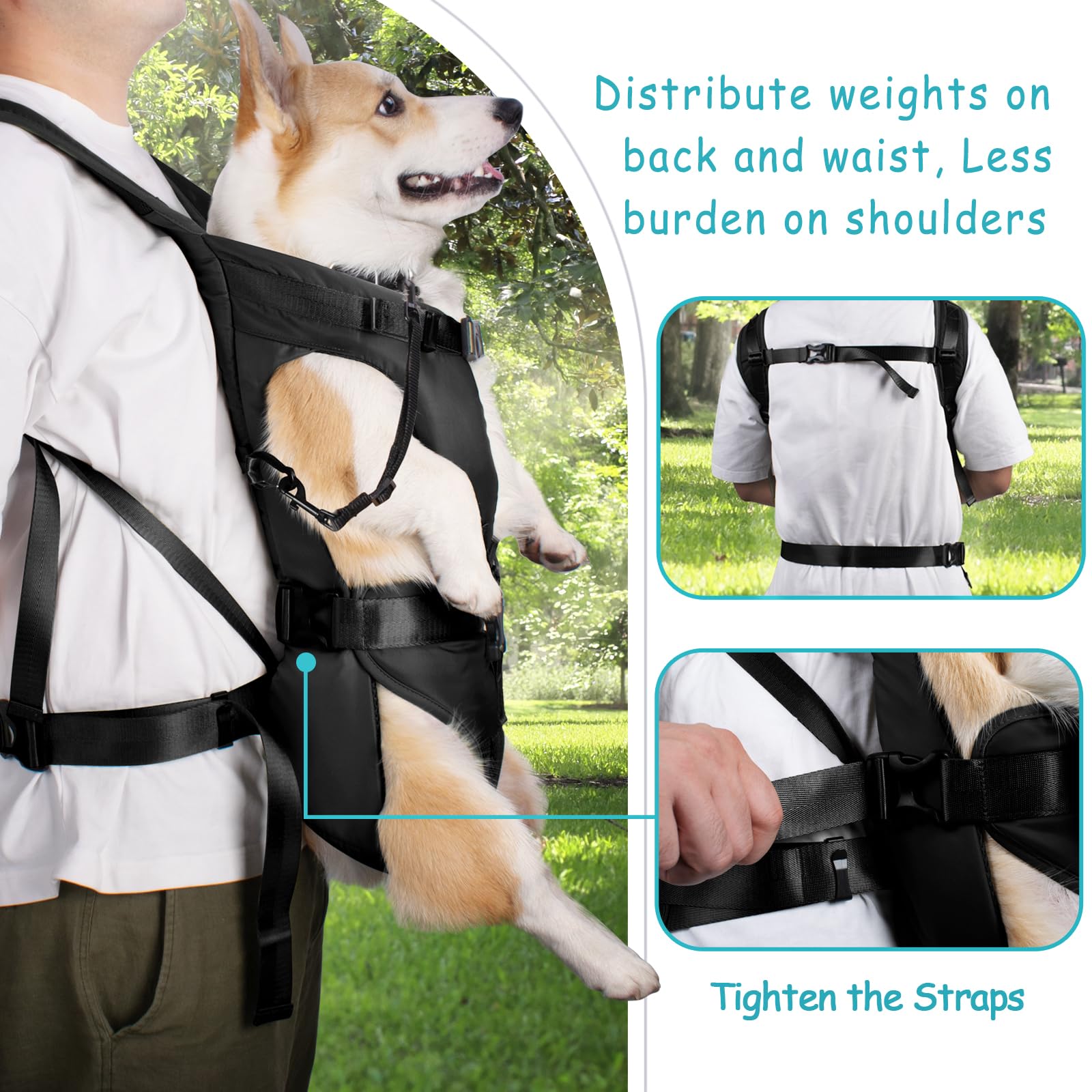 PetBonus Pet Front Dog Carrier Backpack adjustable strap for snug fit