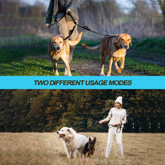 PetBonus reflective walking lead improves night visibility for safer evening strolls.