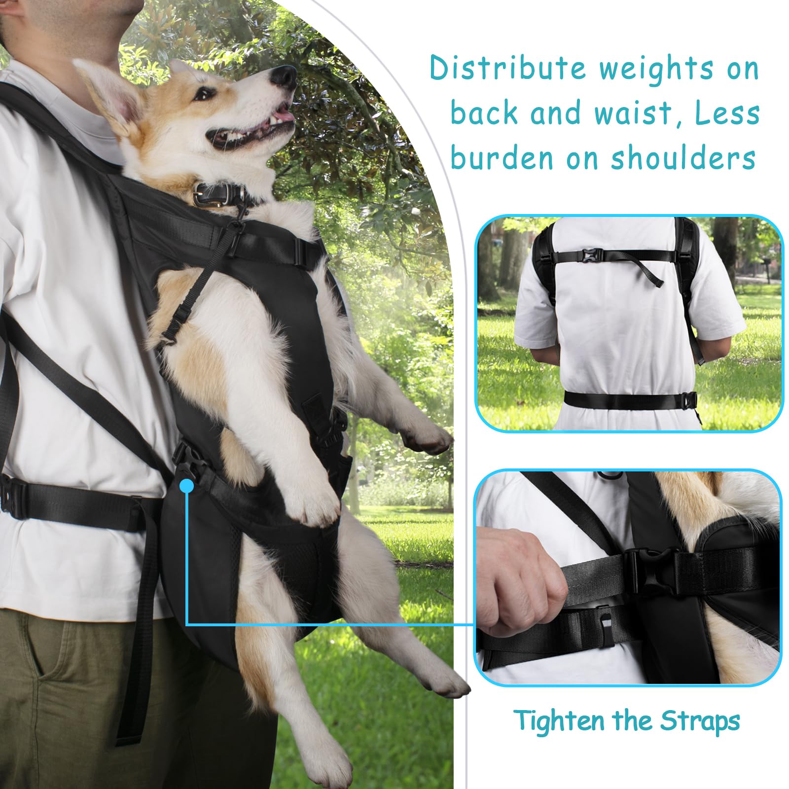 PetBonus side view with adjustable safety straps demonstrates secure fit during movement.