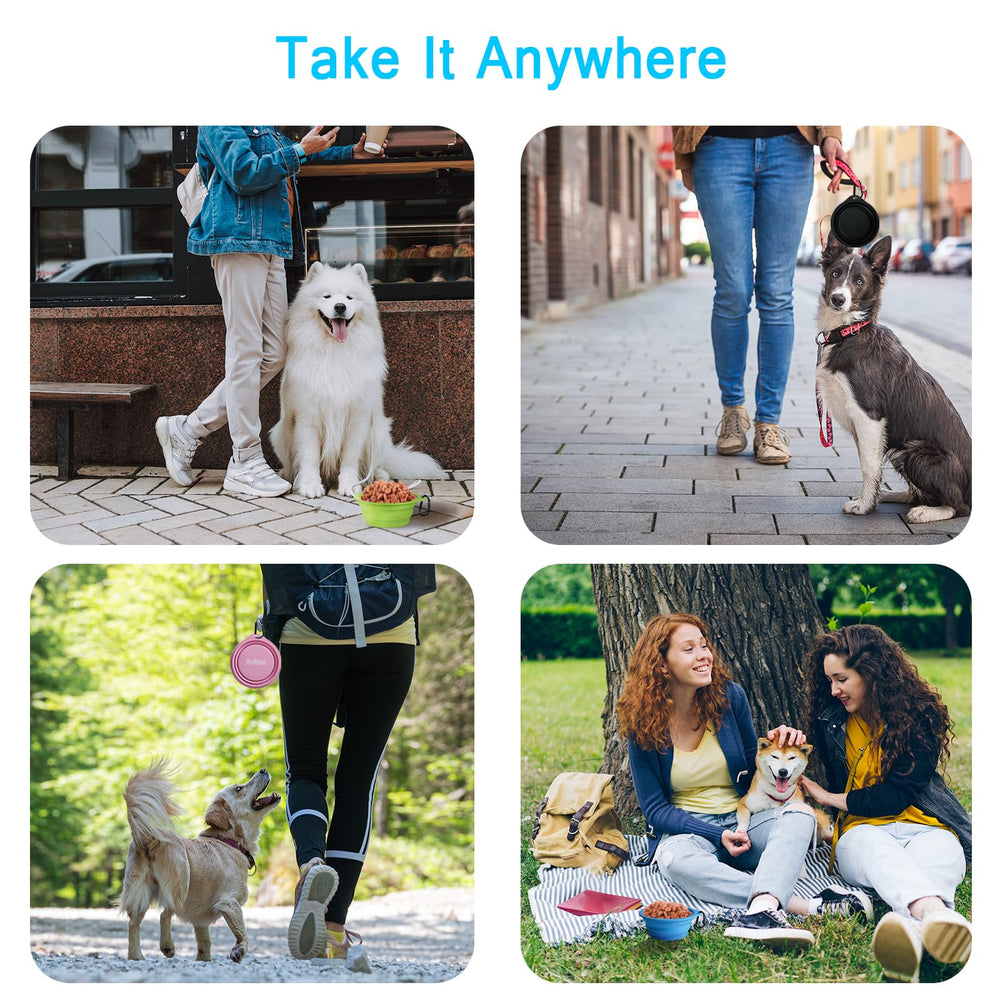 PetBonus tazones con capacidad de 2.5 tazas para comida o agua