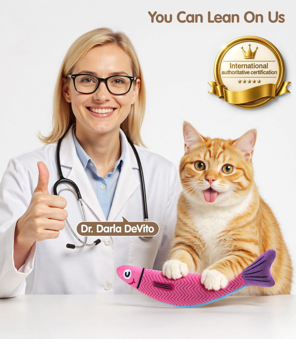 PetBusy indoor cat playtime kicker toy for energetic indoor fun.