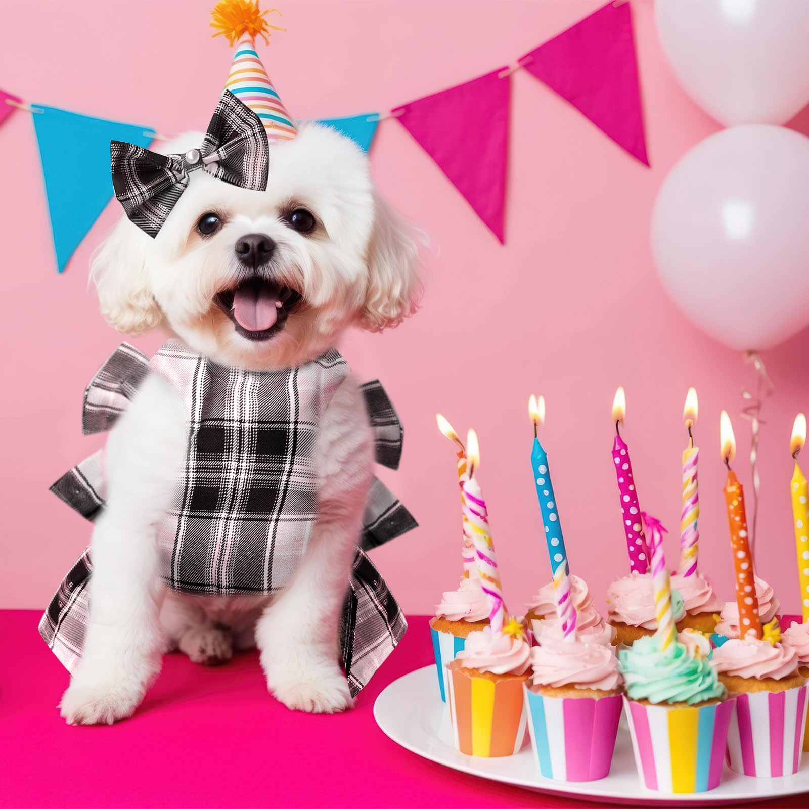 Petcare gift-ready dress set suitable for birthdays, photoshoots, travel, or everyday wear.