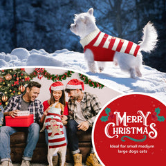 PETCARE Christmas dog costume featuring elf and reindeer for holiday parties.
