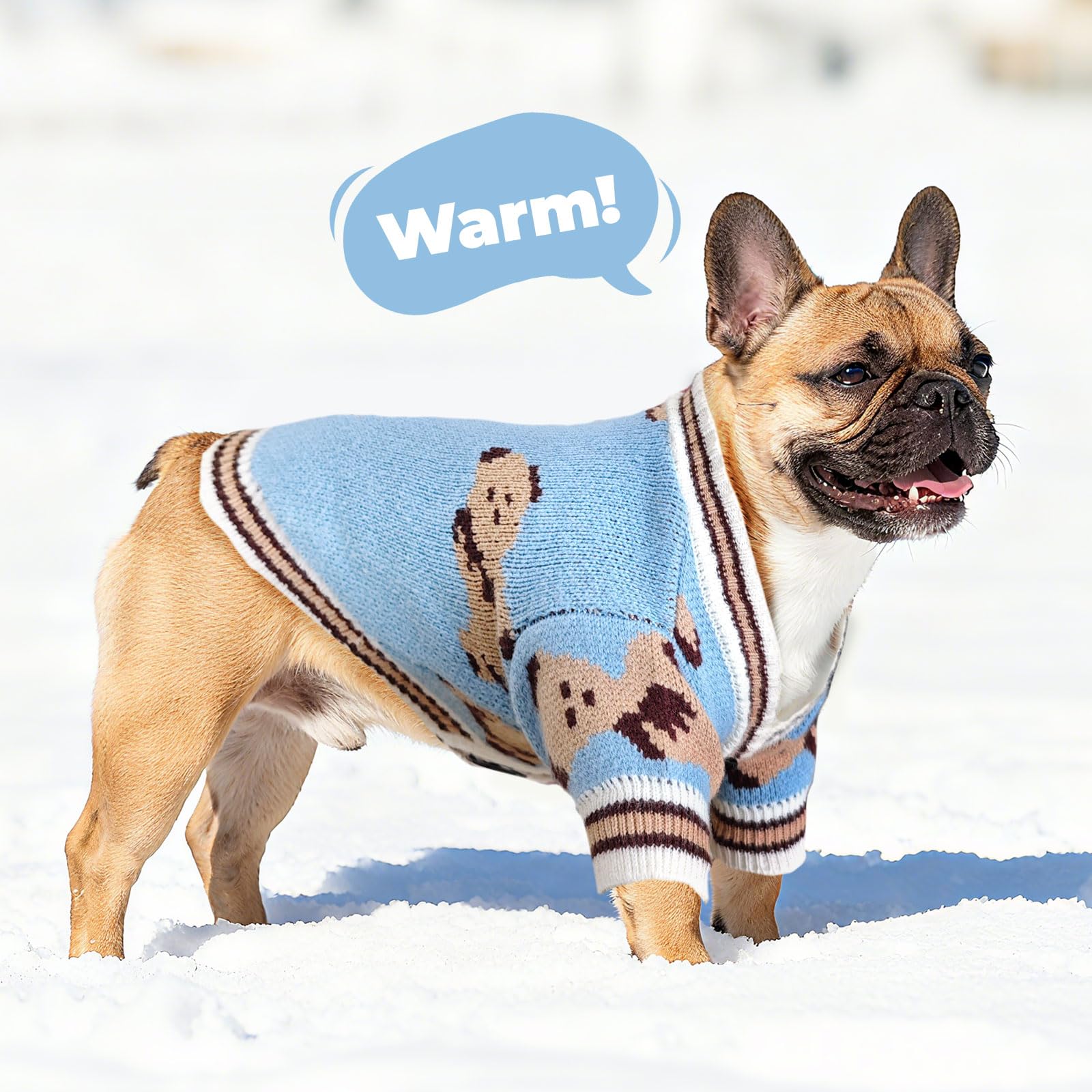 Petcare dog-cat winter outfits illustrate versatile use for lounging, walks, or photos.