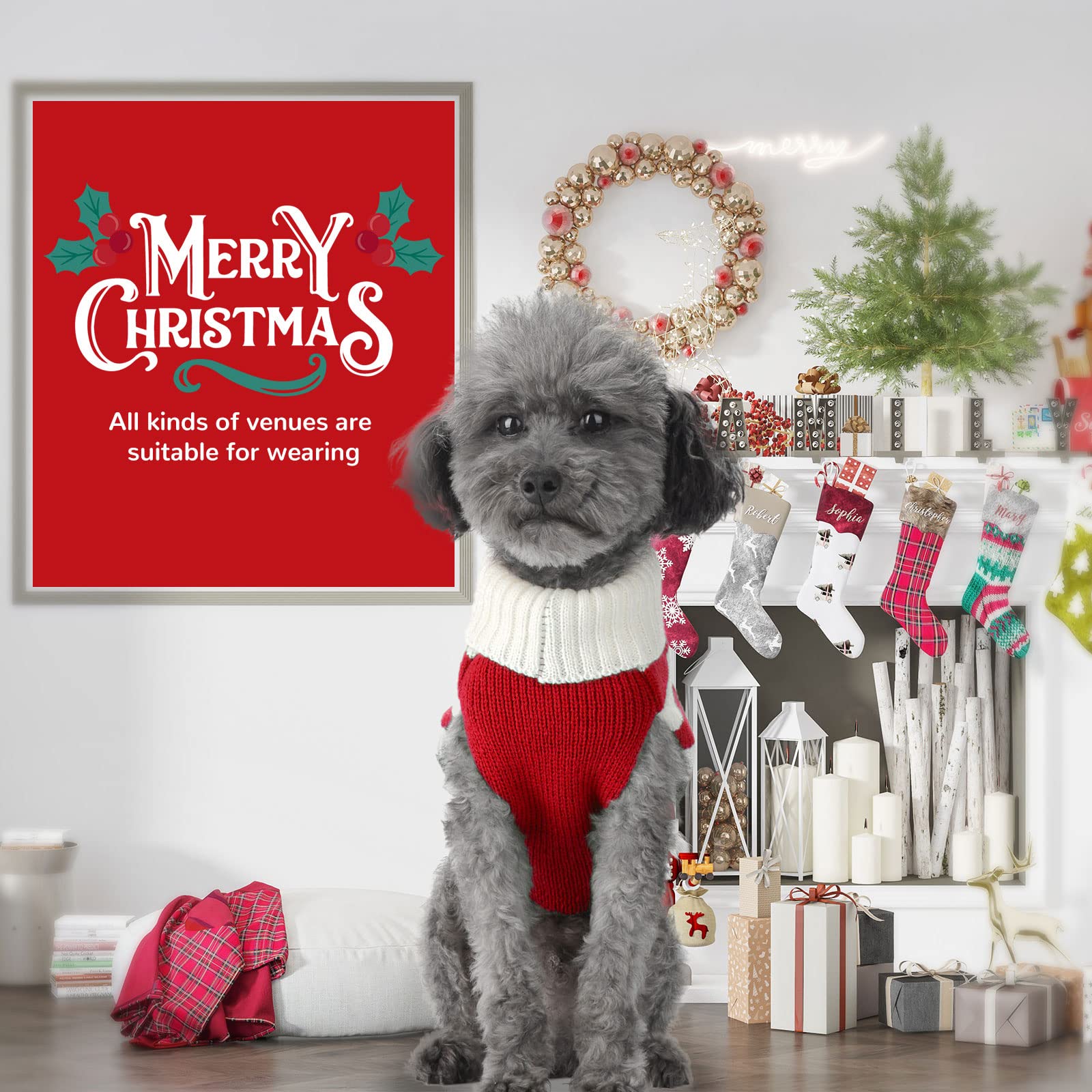 PETCARE multi-size Christmas sweater fits dogs and cats from tiny to large.